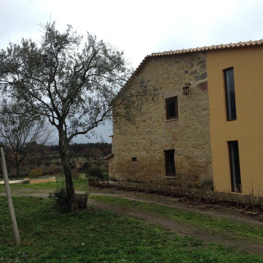 Hostal Quinta Damigo Seia Exterior foto